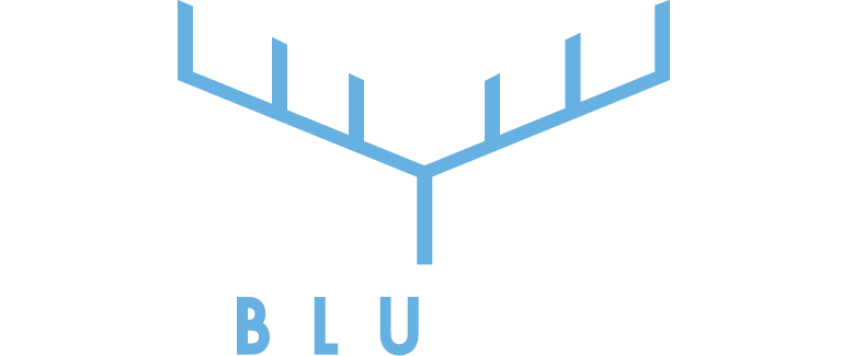The Blu Moose Logo